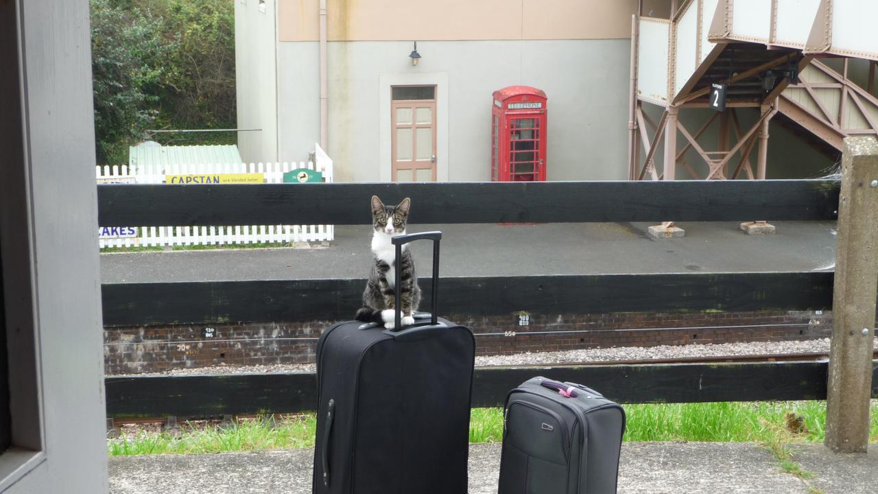 The Station Guest House Galmpton エクステリア 写真